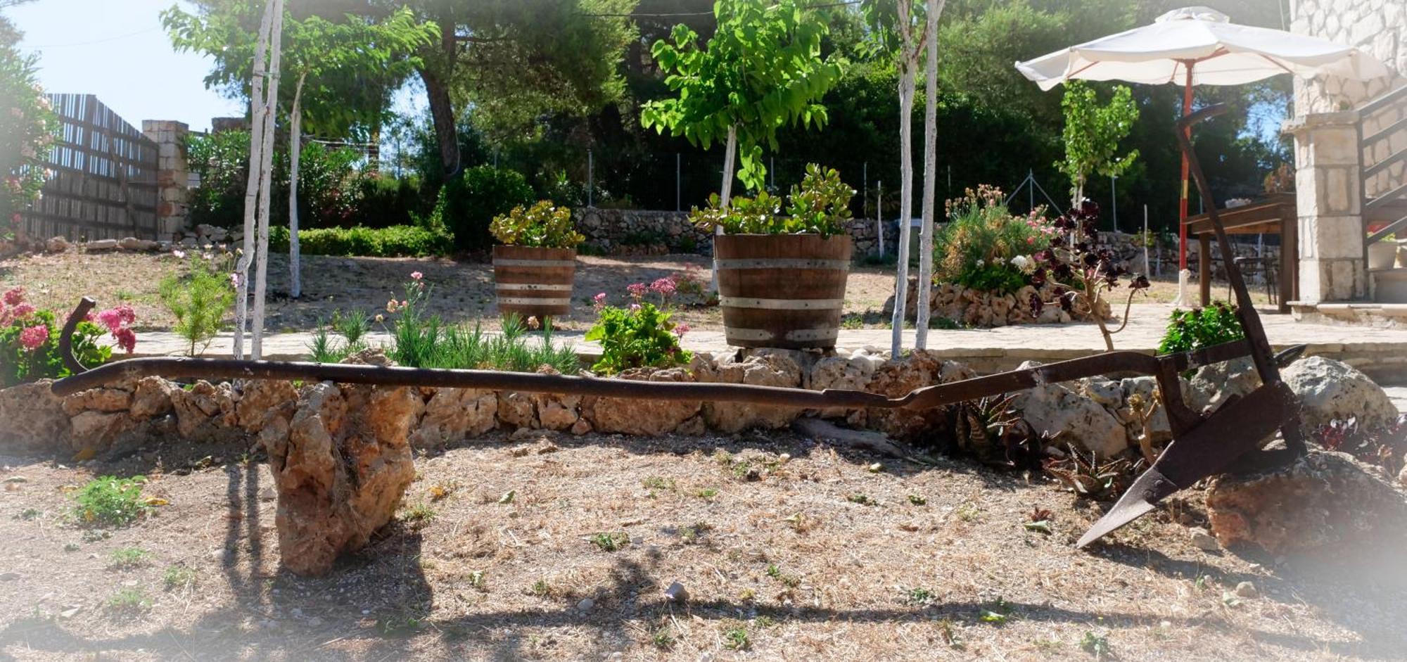 Fterini Apartments Sterna & Alletri Agios Leon 外观 照片